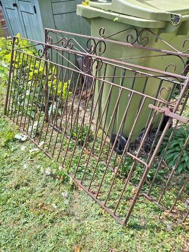 Wrought iron driveway gates