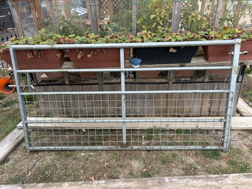 Metal fence gate - metal,